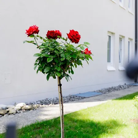 شقة Haus Am Muehlenweg - Neue, Sonnendurchflutete Mit Aufzug Und Tiefgarage - Barrierefrei